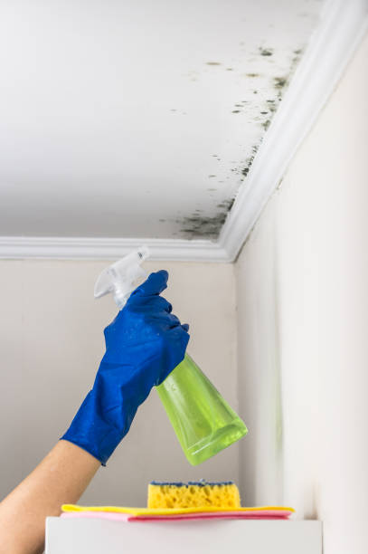 Best Residential Mold Inspection & Testing  in Taylorsville, MS